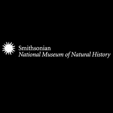 زيارة تفاعلية لمتحف التاريخ الطبيعي.